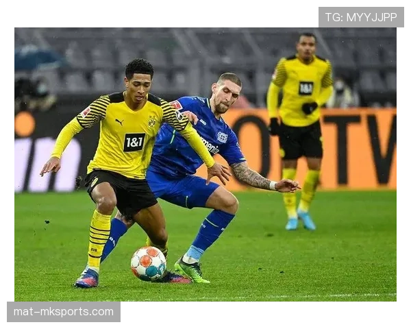 多特蒙德官方回应近期球队相关争议